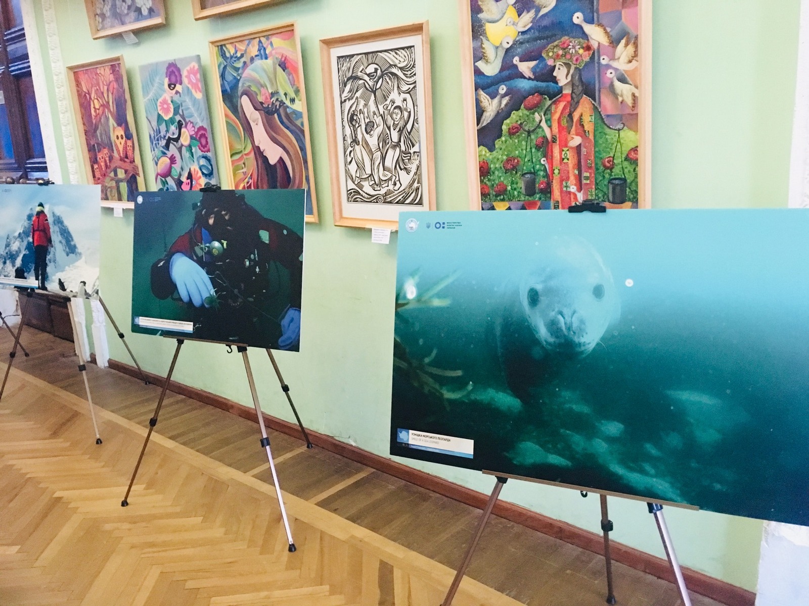 Нас запрошує Антарктида