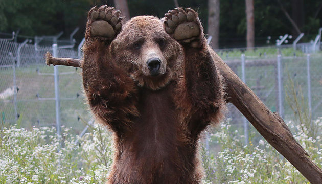 Екскурсія  Домажир